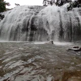 Anayadikuthu Waterfalls Idukki 